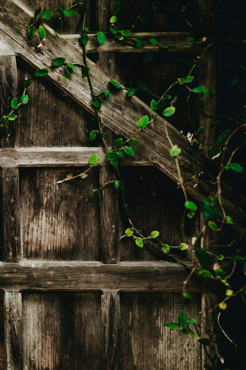 Laubentfernung und saisonale Gartenarbeiten
